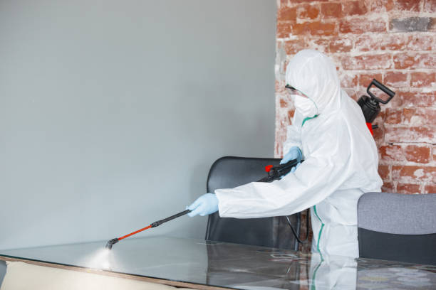 Best Forensic Mold Investigation  in USA